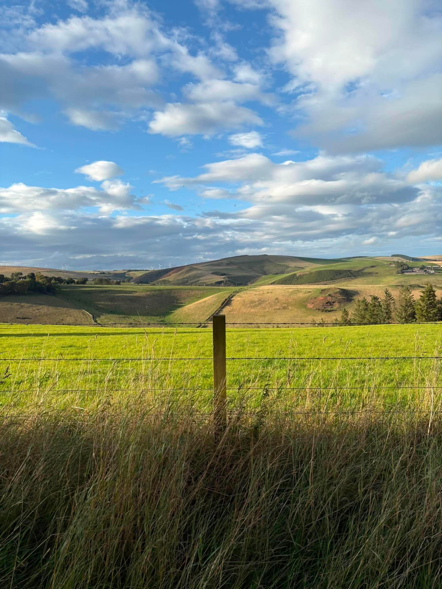 Looking east to Ditcher Law where turbines three times the height of Dunlaw are proposed.
